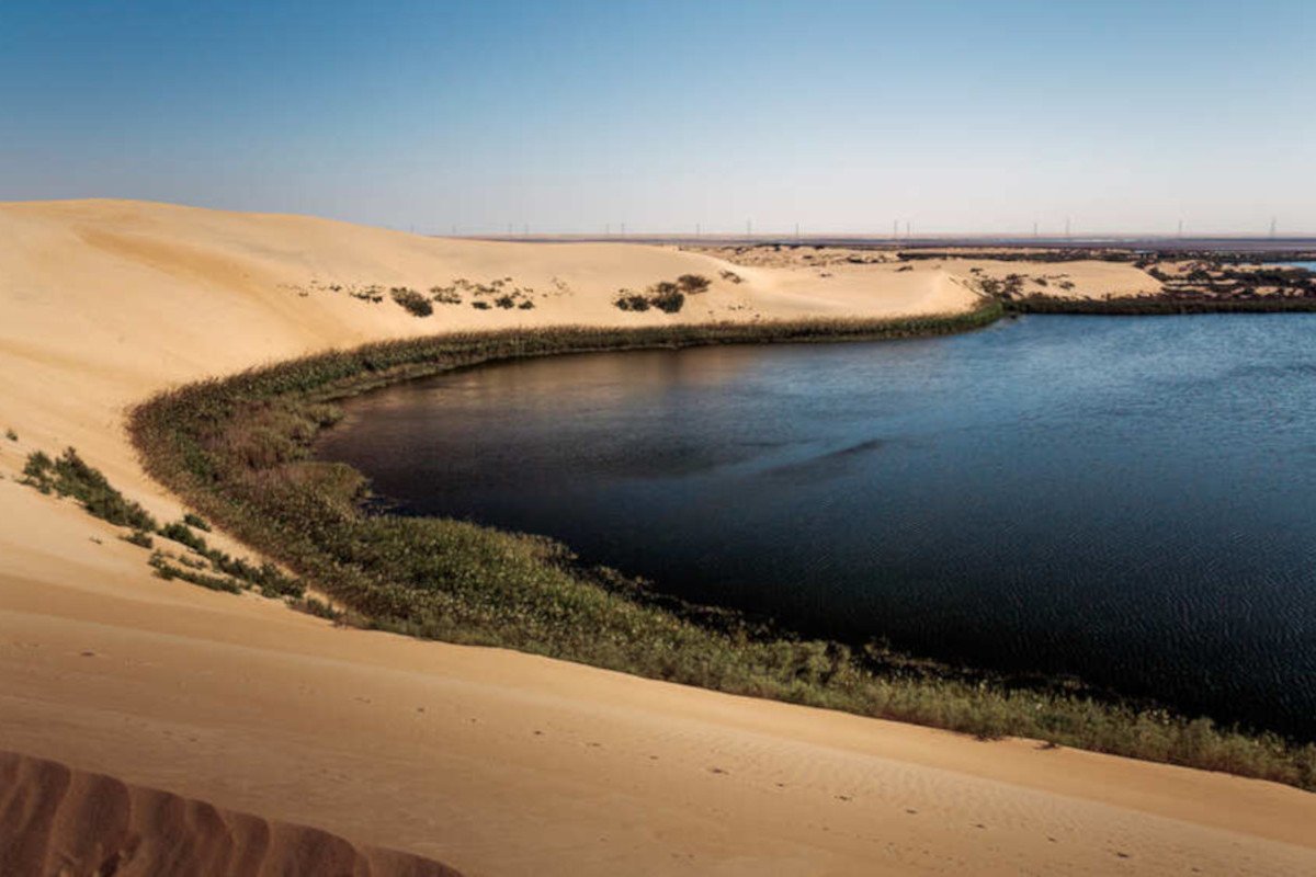 Al-Ahsa Oasis image 1